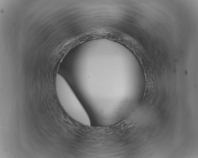 X0000073730773200608031039