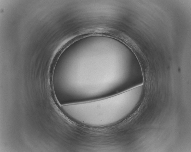 X0000073730784200608031039
