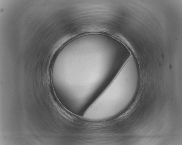 X0000073730787200608031039