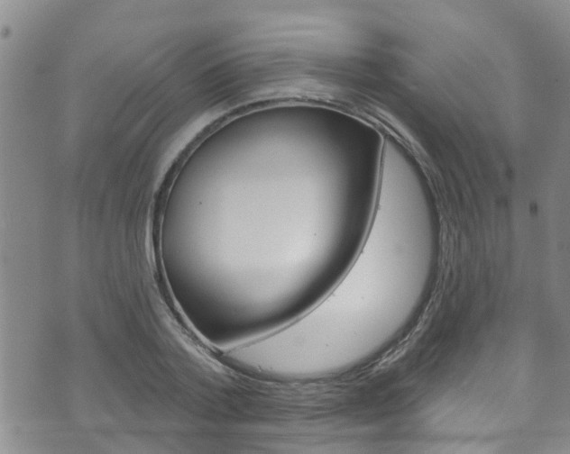 X0000073730788200608031039