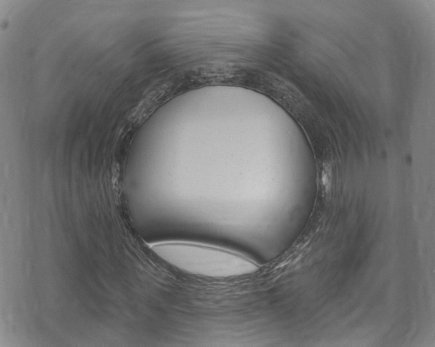 X0000073730867200608031038