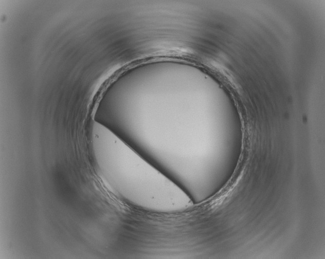 X0000073730875200608031038