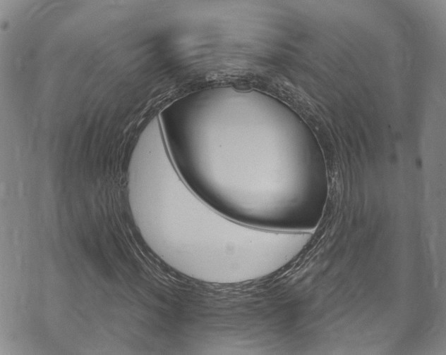 X0000073731012200608031035