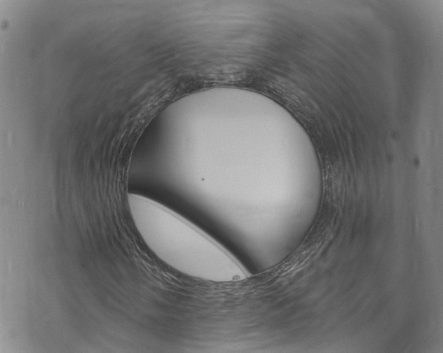 X0000073731058200608031035