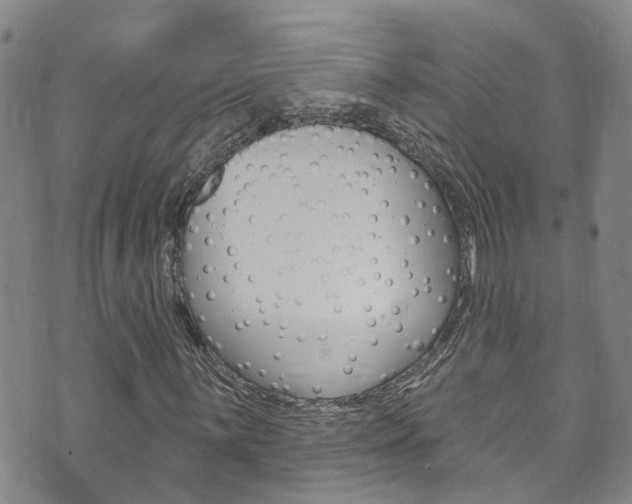 X0000073731059200608031035