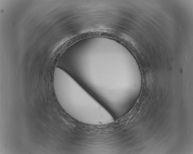 X0000073731064200608031035