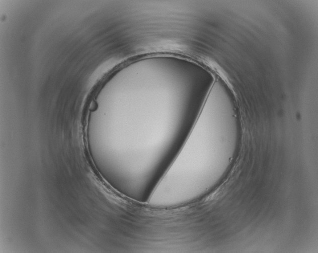 X0000073731072200608031035