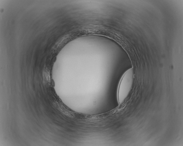 X0000073731155200608031033