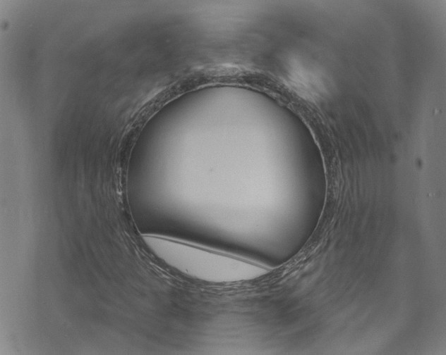 X0000073731301200608031030