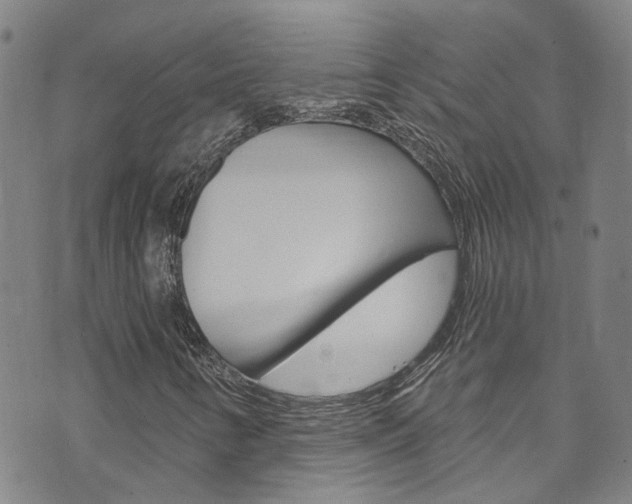 X0000073731346200608031030