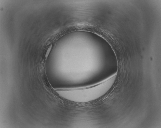 X0000073731349200608031030