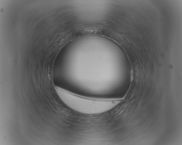 X0000073731394200608031029