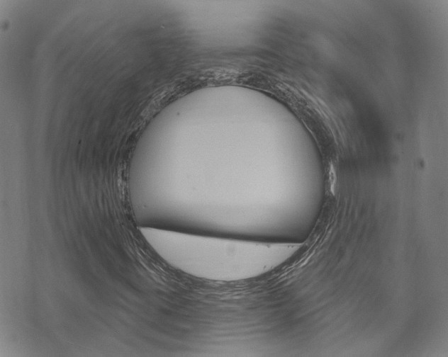 X0000073731395200608031029