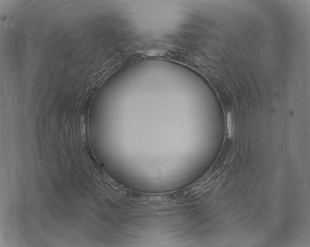X0000073731443200608031029