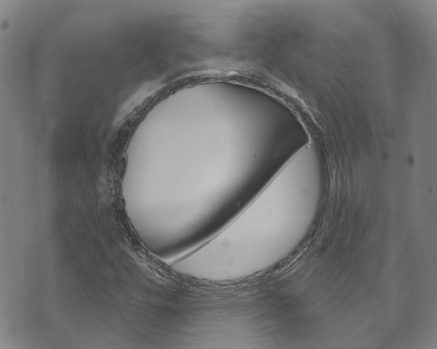 X0000073731448200608031029