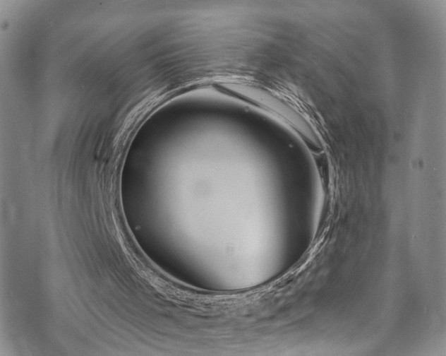 X0000073730001200608031341