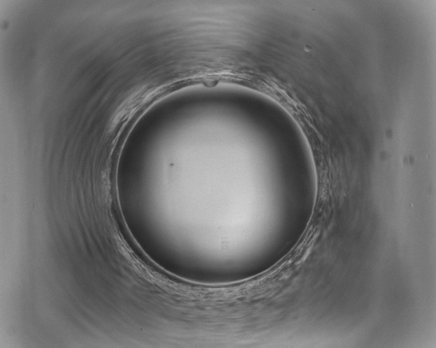 X0000073730002200608031341