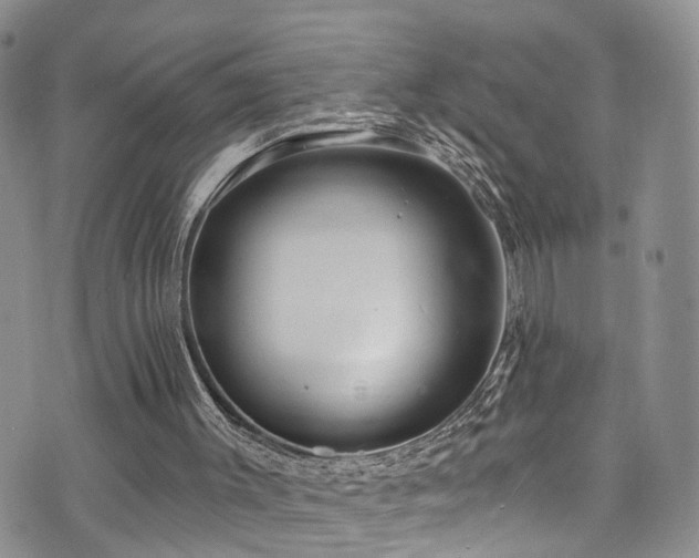 X0000073730003200608031341