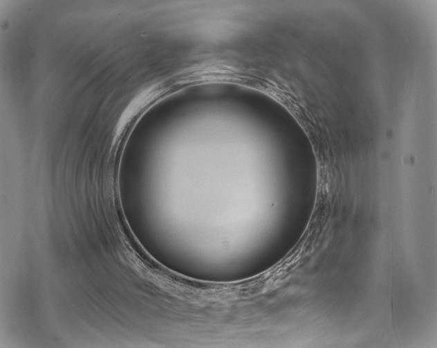 X0000073730004200608031341