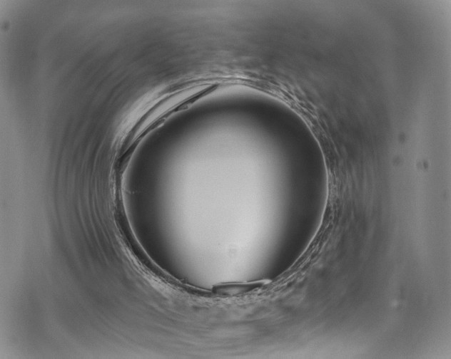 X0000073730005200608031341