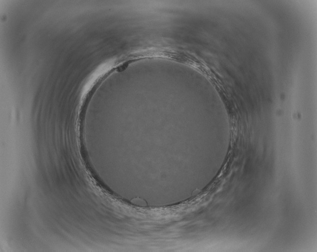 X0000073730006200608031341