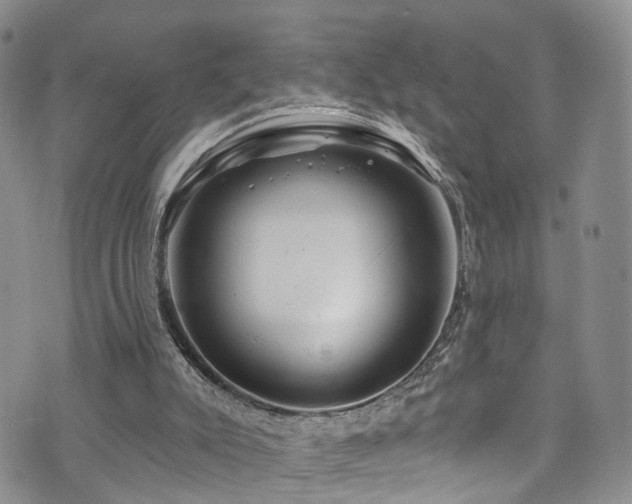 X0000073730007200608031341