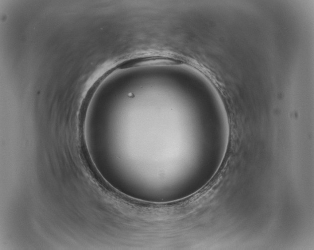 X0000073730008200608031341