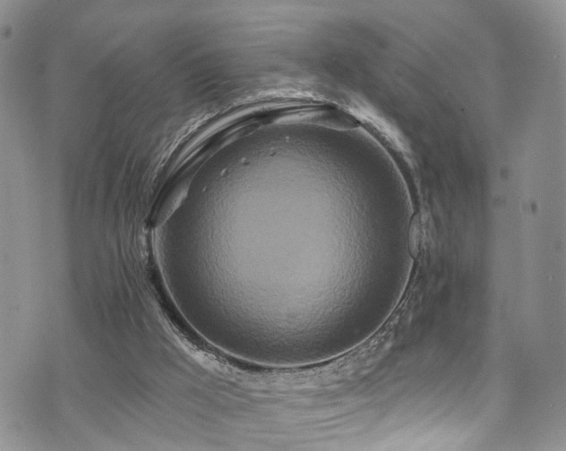 X0000073730009200608031341