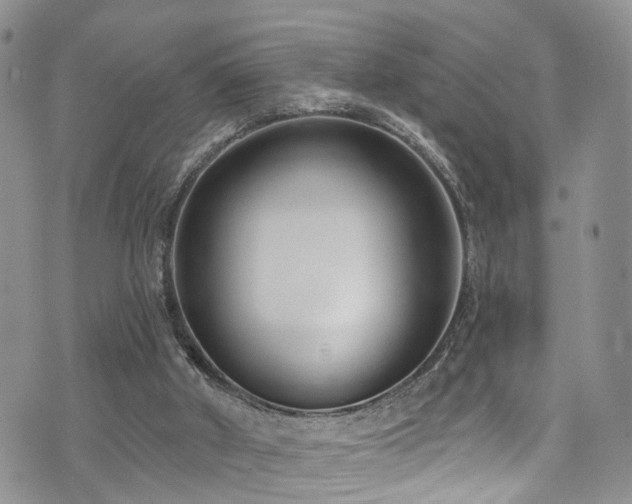 X0000073730010200608031341