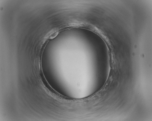 X0000073730011200608031341