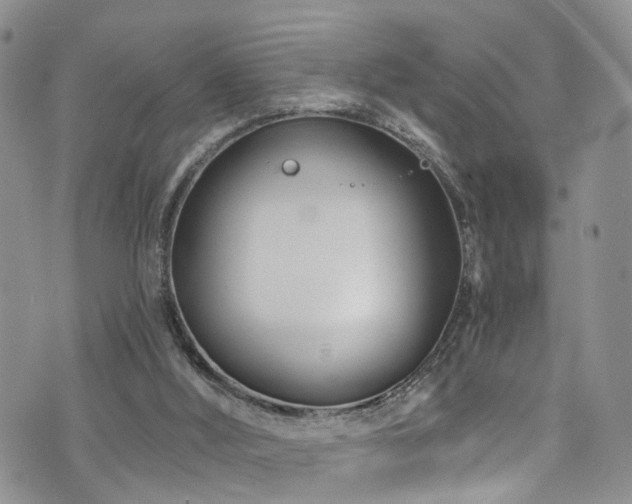 X0000073730012200608031341