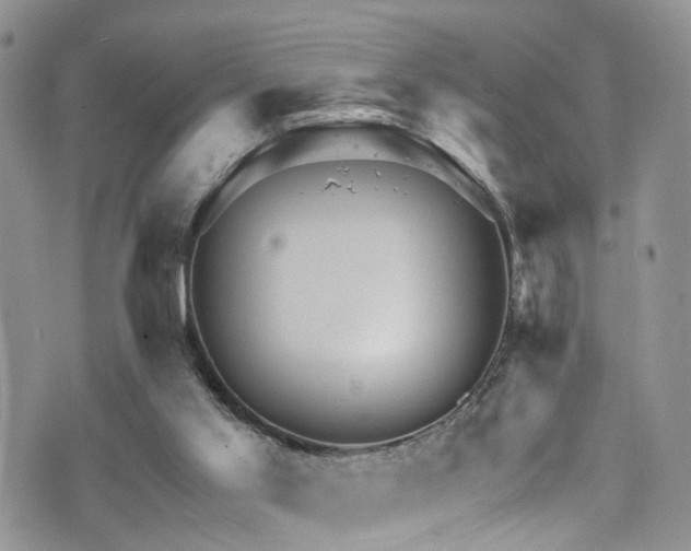 X0000073730013200608031341