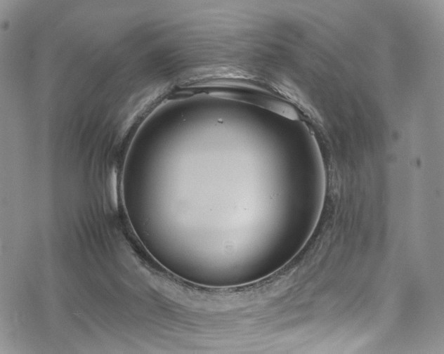 X0000073730014200608031341