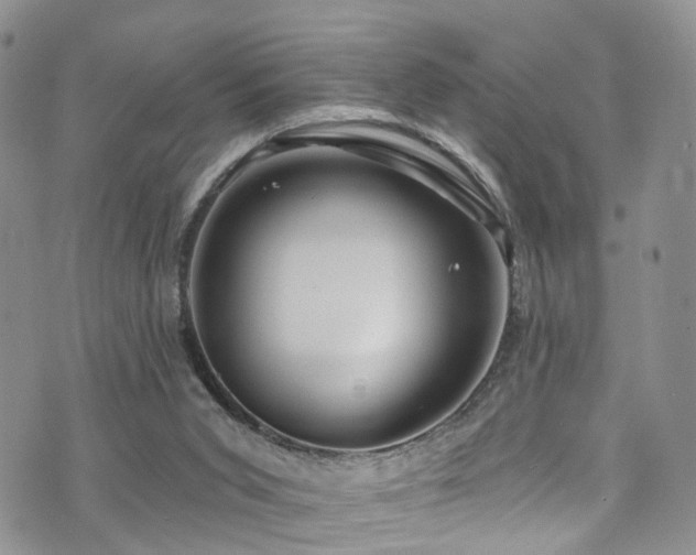 X0000073730015200608031341