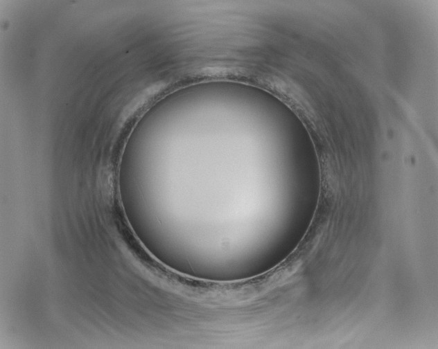 X0000073730016200608031341