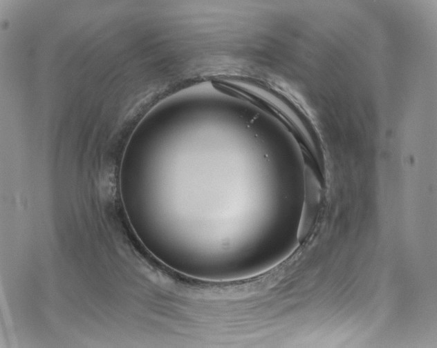 X0000073730017200608031341