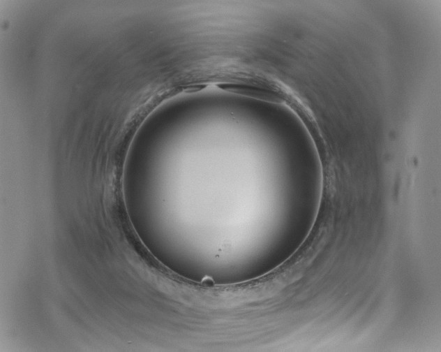 X0000073730018200608031341