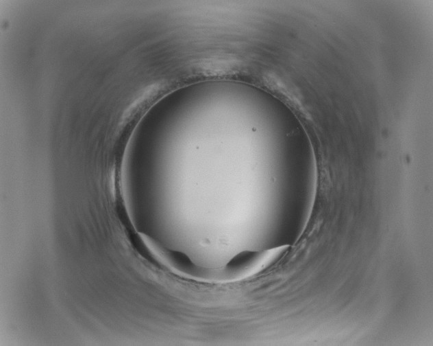 X0000073730019200608031341