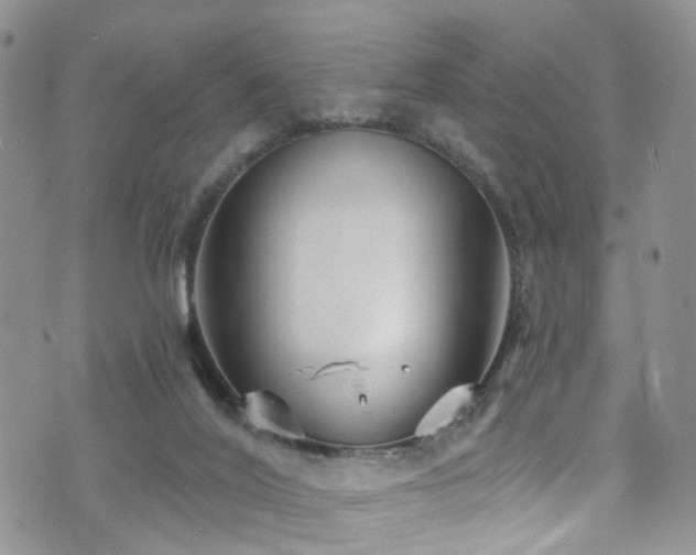 X0000073730020200608031341