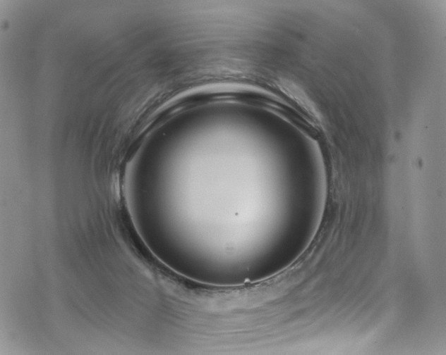 X0000073730021200608031341