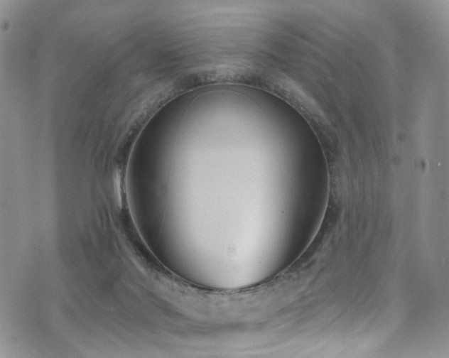 X0000073730022200608031341