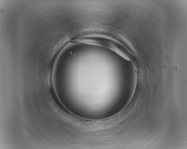 X0000073730023200608031341