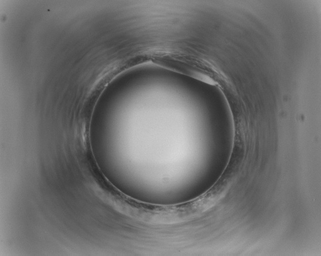 X0000073730024200608031341