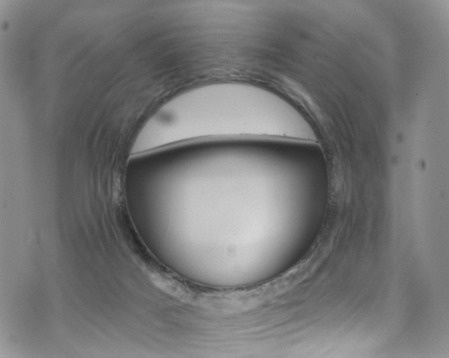 X0000073730025200608031341