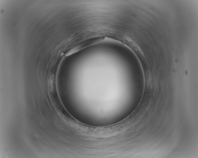 X0000073730026200608031341