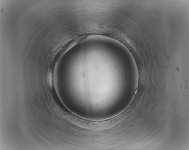 X0000073730027200608031341