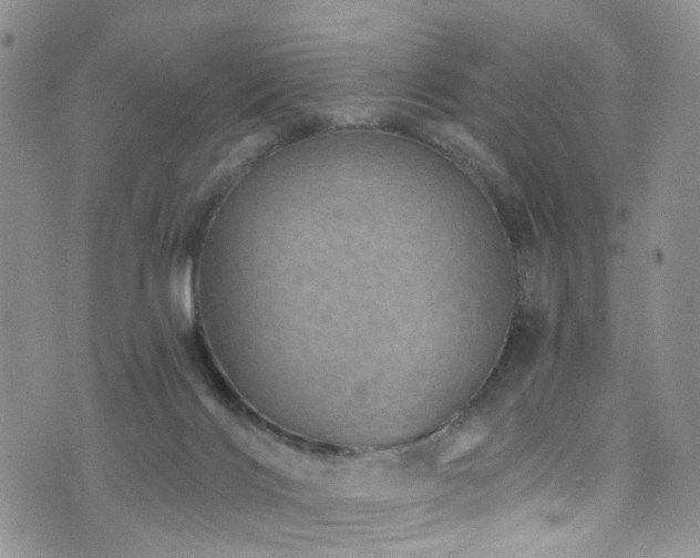 X0000073730028200608031341