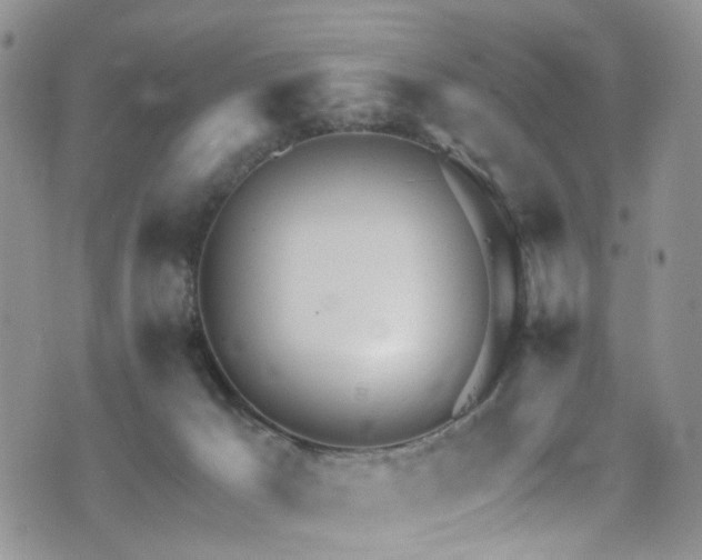 X0000073730029200608031341