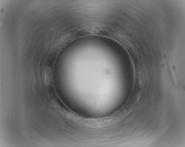 X0000073730030200608031341