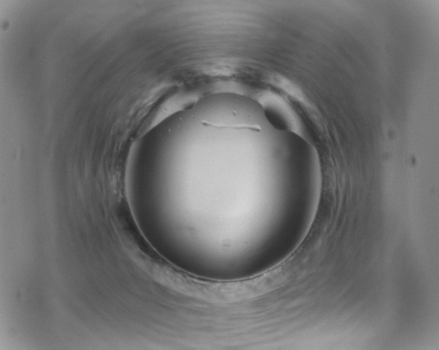 X0000073730031200608031341